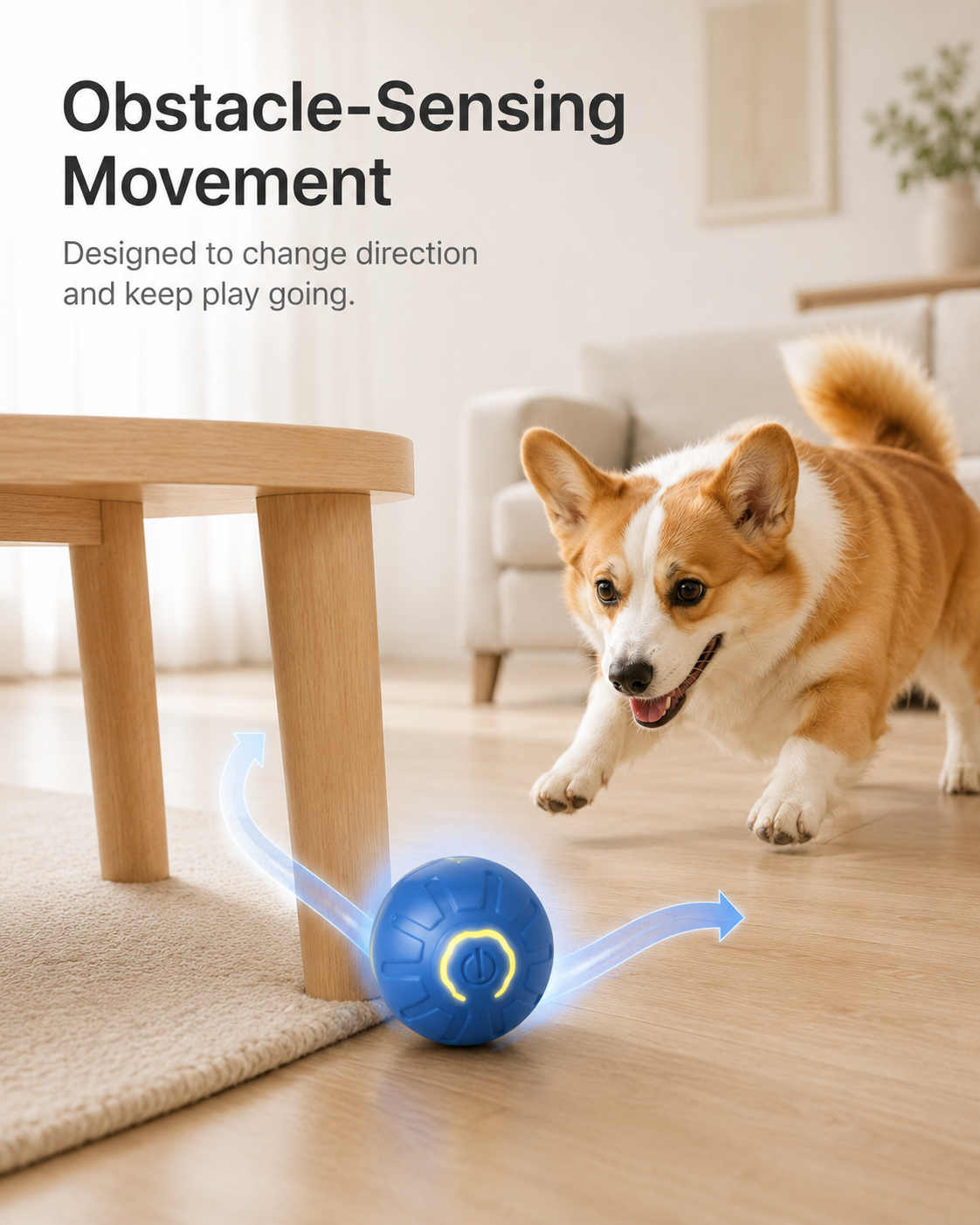 Smart Rolling Ball