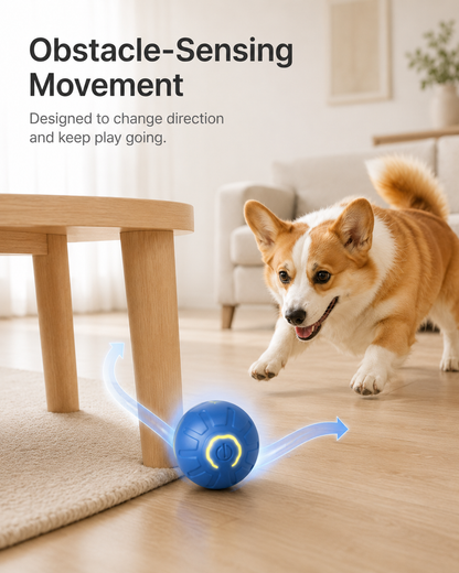 Smart Rolling Ball
