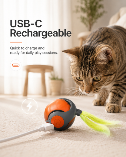 Speedy Cat Tail 2.0