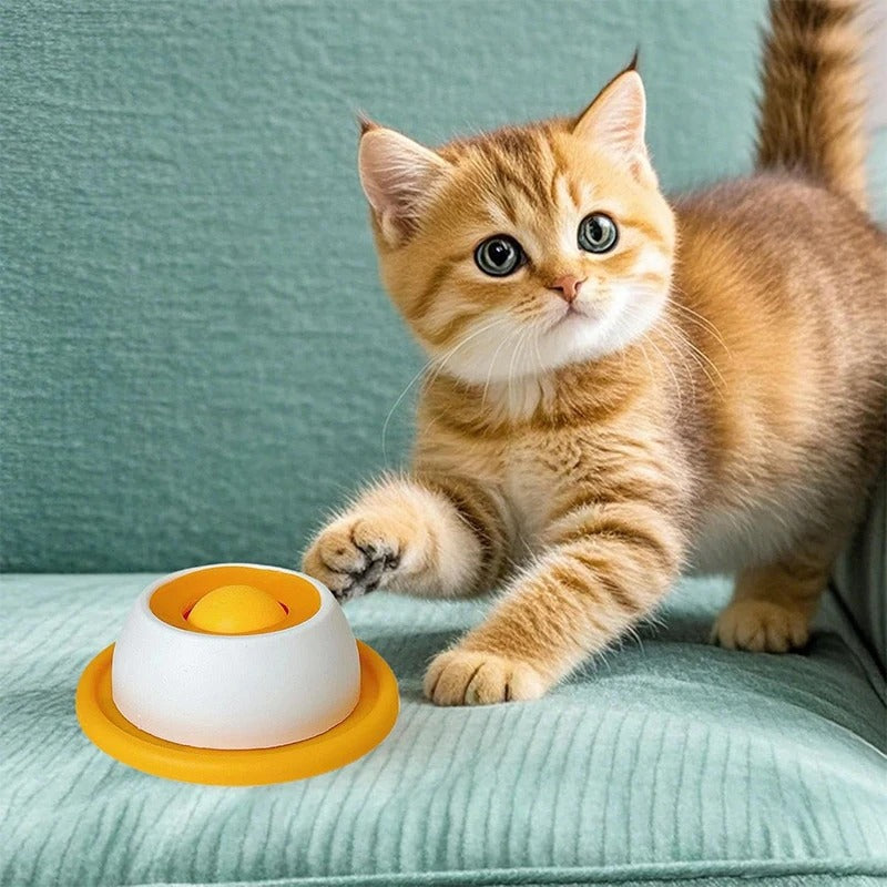 Slow-Feed Lick Bowl