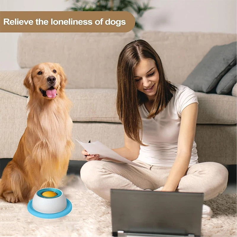 Slow-Feed Lick Bowl