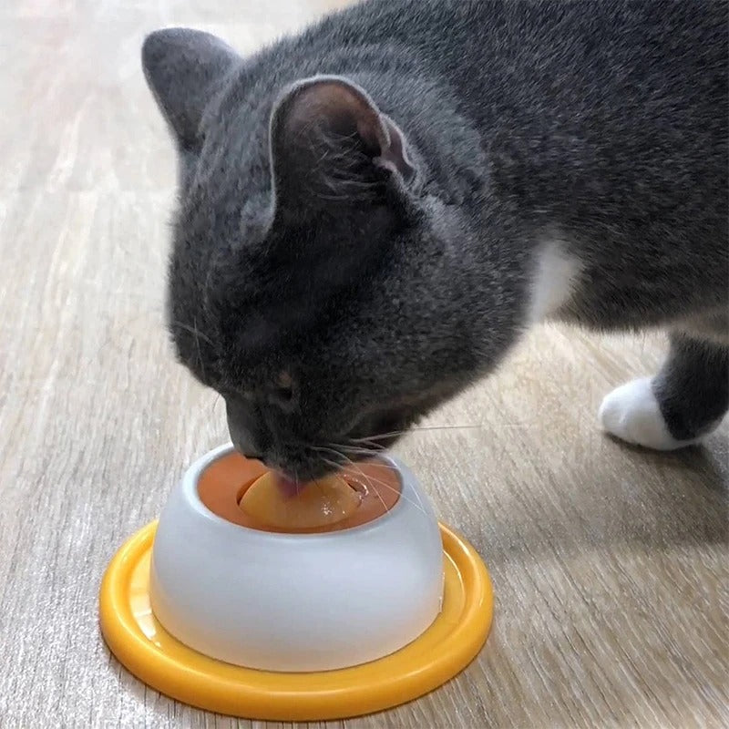 Slow-Feed Lick Bowl