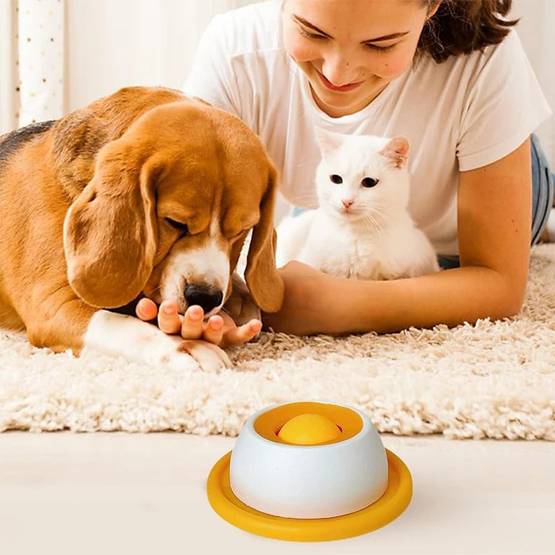 Slow-Feed Lick Bowl