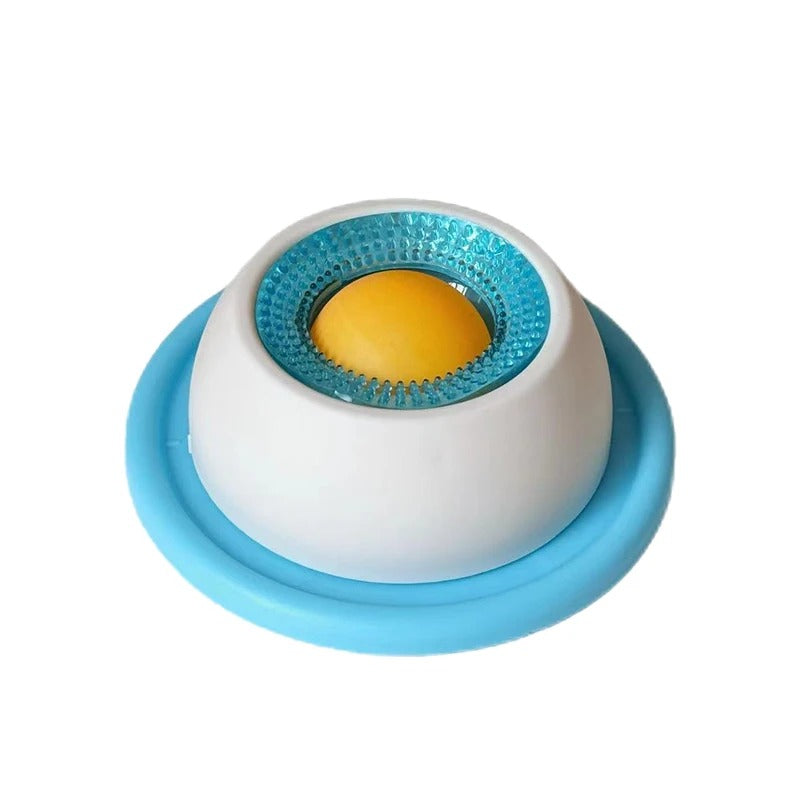 Slow-Feed Lick Bowl