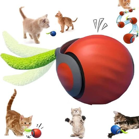 Speedy Cat Tail 2.0